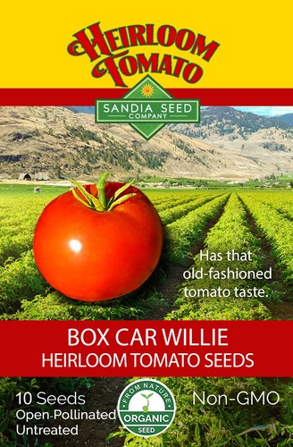 Tomato Box Car Willie organic Sandia - Smooth 10 - 12 oz. bright orange-red slicer tomatoes that are absolutely full of that old-fashioned tomato taste. History: Initially bred by Joe Bratka's father. Joe found seeds for this tomato in a tool shed decades later, but could not get them to germinate. He sent them to Carolyn Male who succeeded in germinating the seed and began sharing this variety with other gardeners in the mid-1990s. Organic Heirloom Non-GMO    10 Seeds