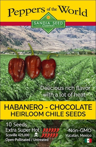 Habanero Chocolate Sandia - Chocolate Habanero - A popular habanero that has a distinct delicious flavor not found in other habaneros. It is sweet fresh and tastes good before the heat. Fantastic in garden salsa. It is the color of chocolate, but has no other similarities!

 The chestnut brown pods are 2