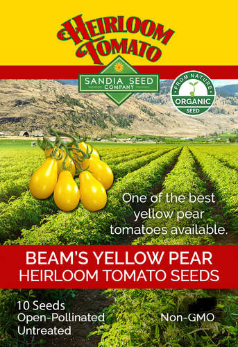 Beam's Yellow Pear Tomato organic / Sandia - DESCRIPTIONAn impressive-cropping tomato giving an almost endless supply of big symmetrical trusses of baby, pear-shaped golden fruits. These grow on attractive and truly impressive heavy trusses of pendent fruits. They are lovely for eating, just like grapes, straight off the vine! A superb salad tomato. (Cordon)SOWING ADVICESeeds are surface-sown or covered only slightly. Do not allow the soil to dry out. Containers are held in warm conditions until sprouts appear, which may take anywhere from 3-10 days. Move sprouting plantings immediately to bright light conditions, such as a south-facing window. Inadequate light is a frequent cause of failure of young seedlings. At about the time of last frost, set out seedlings into pots.