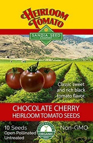 Chocolate Cherry Tomato Sandia