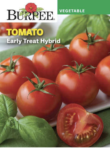 Tomato Early Treat Hybrid - If you can't wait for your harvest of summer tomatoes, Early Treat is for you. Extra-early plants produce plentiful clusters of tasty, 4 oz. deep red fruits just 49 days after transplanting seedlings into the garden. Indeterminate. For larger, cleaner, more perfect fruits, support plants as they grow. Loved by gardens and trusted by gardeners, Burpee© has been introducing fresh garden breakthroughs since 1876. Burpee offers only the highest quality, non-GMO seeds, hand-picked by expert horticulturalists to thrive in your home garden. • Extra-early producing tomato plants • Sow tomato seeds indoors 6-8 weeks before average last frost date; transplant outdoors • Sunlight Needs: Full sun • Ready to harvest in 49 days • Annual for all growing zones from 1-11