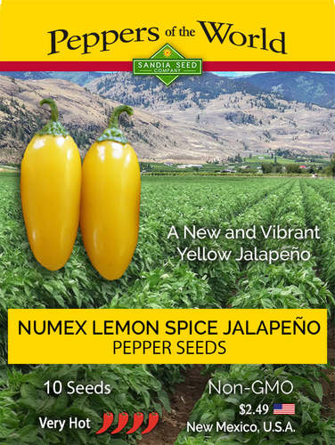 فلفل هلابينيو بطعم الليمون حرارة عالية - NuMex Jalapeño Lemon Spice - هذا الهالبينو الأصفر لطيف وحار وشعبي بسبب لونه الأصفر الفاتح.  استخدمي هذا الفلفل الجميل لتعزيز مظهر كل ما يمكنك صنعه باستخدام الهالبينو الأخضر! يكون هذا الهالبينو أخضر عند عدم النضج وأصفر فاتح عند النضج. يحتوي على لحم سميك ونكهة حارة مثل الهالابينو المبكر، لكنه أكثر حرارة بكثير. من السهل زراعة بذور الهالبينو الصفراء، ومن المؤكد أن هذه البذور الصفراء الجميلة ستسعدك في الحديقة! ينضج هذا الهالبينو الأصفر في وقت مبكر يصل إلى 65 يومًا بعد إنباته - مما يعني أنه يمكنك الاستمتاع بهذه الأحجار الكريمة الصفراء في وقت أبكر من معظم أنواع الفلفل الأخرى! يبلغ طول النباتات 24 بوصة وعرض القرون 3 بوصة × 1 بوصة. الفليفلة السنوية (65 يومًا) الإرث - مفتوحة التلقيح 
 مستوى الحرارة: حار جدًا. سكوفيل: 30.000 
 ~ الباكيت يحتوي على 10 بذور.  
 لدينا أيضًا هالابينو أصفر ذهبي أكثر اعتدالًا يسمى جالابينو جالورو. 
   
 شاهد جميع أصنافنا من بذور الهالابينو » 
 في أوائل الربيع، ابدأ البذور في الداخل قبل 8 أسابيع لتدفئة درجات الحرارة ليلاً. ضع البذور في وسط معقم وقم بتغطيتها بعمق 1/4 بوصة. توفير حرارة سفلية تبلغ 85 درجة فهرنهايت وضوء ساطع والحفاظ على الرطوبة في جميع الأوقات. سوف تنبت البذور خلال 7 - 21 يومًا. زرع الشتلات في الأواني وتنمو حتى يكون هناك 6 أوراق حقيقية على النبات. زرعها مباشرة في التربة الغنية، على مسافة 30 بوصة أو في حاويات كبيرة سعة 5 جالون. حصاد الفلفل عندما يكون بالحجم الكامل والأصفر. 
 
 جميع بذورنا خالية من الكائنات المعدلة وراثيًا.