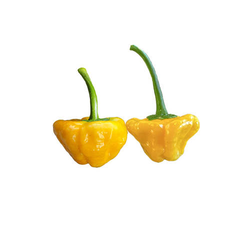 Yellow Jamaican Hot Pepper Sandia