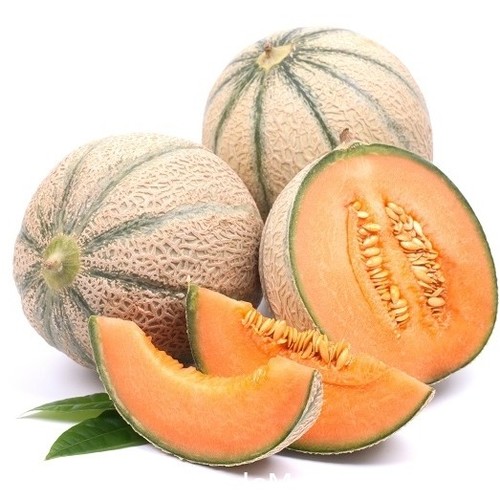 Melon Malaga F1