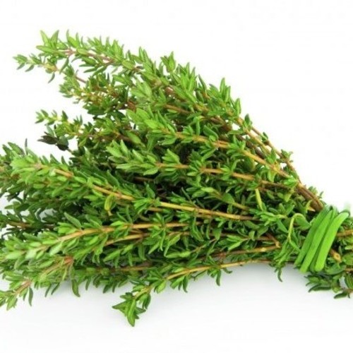 Thyme / Kekik Winter GANIYY or Genta