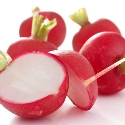 Red Radish / Kırmızı or Findik Turp (genta)