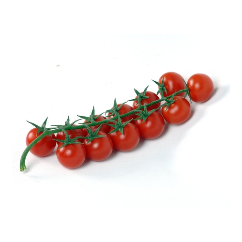 Cherry Tomato  / Cherry Domates (GANIYY)