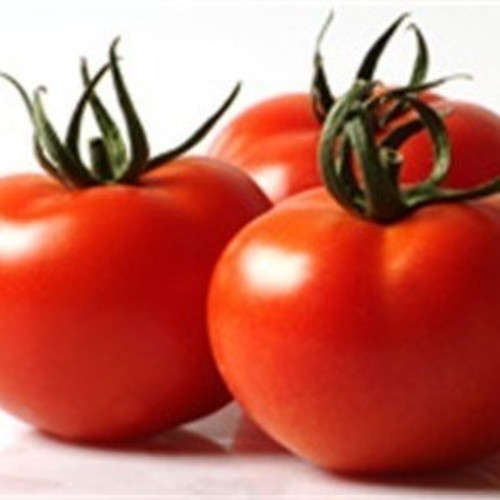 Tomato 2274 F1 / Domatesi 2274  (F1) (GANIYY)