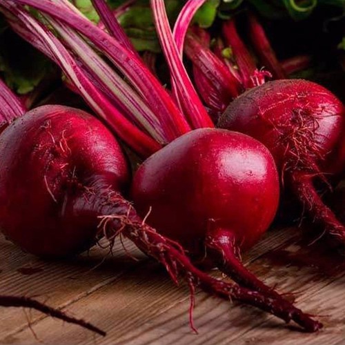 Detroit Beet / RED Beets / Kırmızı Pancar ( GANIYY)