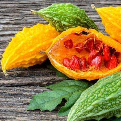 Bitter Melon / Kudret Narı (GANIYY)
