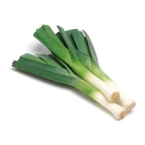 Leeks / Pırasa (GANIYY)