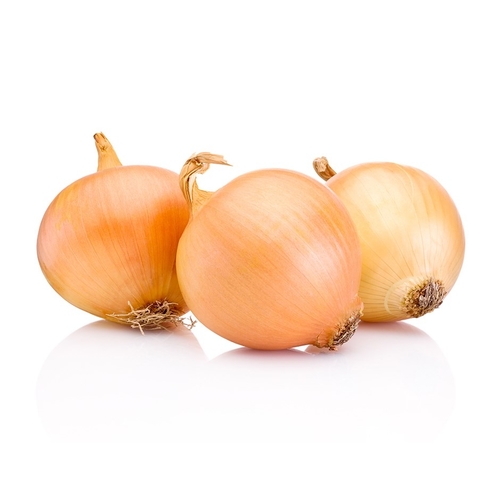 Onion / Sogan ( GANIYY)