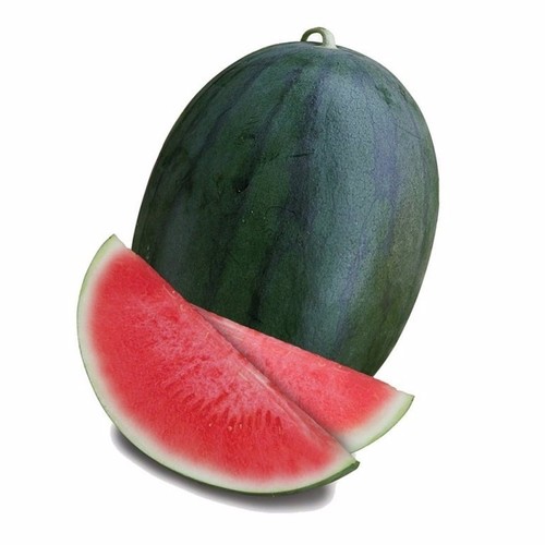 Washington Watermelon (GANIYY)