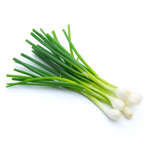 Green Onions / Yeşil Soğan ( GANIYY)