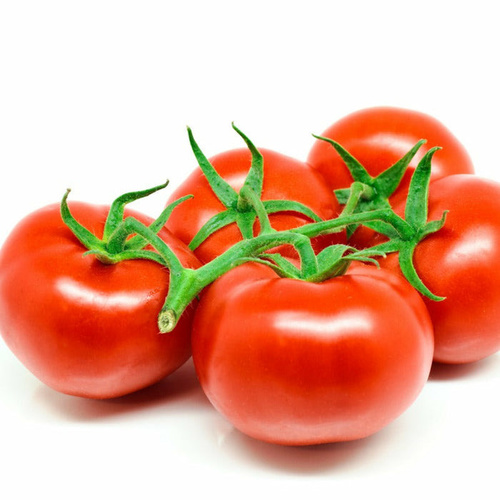 Salkim Tomato /  Salkim Domates F1