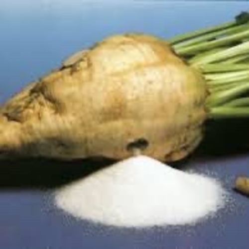 sweet Sugar Beets / Şeker Pancarı (Ganniy)