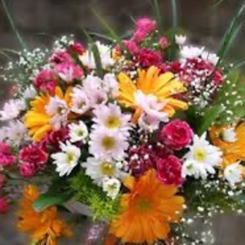 Mixed Colored Flowera/ Karışık Çiçeği