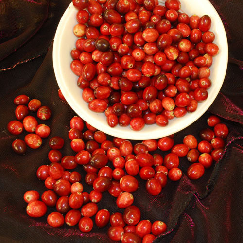 Cranberry  PWS - DESCRIPTIONLarge, red, vitamin-filled berries are produced on evergreen plants in mid to late summer. The wild cranberry (Vaccinium macrocarpon) is an evergreen, ground-cover plant native to North America which flourishes in boggy conditions and actually contains very few seeds. Consequently we can only give ten seeds per packet.SOWING ADVICESow in a tray of damp ericaceous peat. Cover them with a polythene bag and put in a fridge for a couple of weeks. Remove them and grow at 70 degrees until they slowly germinate which may take some time.