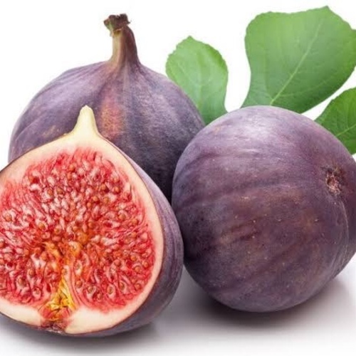 Fig Purple - DESCRIPTIONThis is the tree that is grown worldwide to produce plum-sized, juicy, sweet purple/brown figs and although there are hundreds of cultivars this is still a favourite. Fruits will ripen from midsummer onwards in the UK but earlier in warmer countries. These are good, fertile seeds and are ready-stratified for sowing. Fruit from seedlings may vary but all should be superb fruits.SOWING ADVICEThese seeds have already been thoroughly cleaned and should be sown into a well-drained, sandy compost at any time of the year, and covered thinly with sand or grit and kept moist. Keep at between 20-25 degrees C. Seeds sometimes germinate within 4 to 6 weeks although some may take very much longer so please be patient. Plant out in the open ground in warmer countries or in a large container elsewhere. 
 20 Seeds