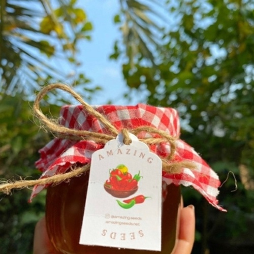 Pure Raw Honey from Our Bee Hive 550 Grams