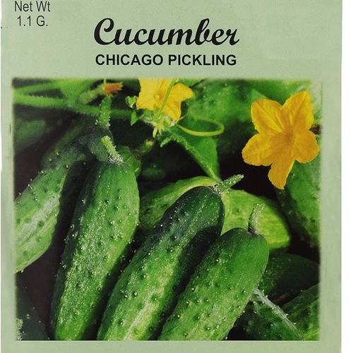 Cucumber Chicago Pickling Valley Green
