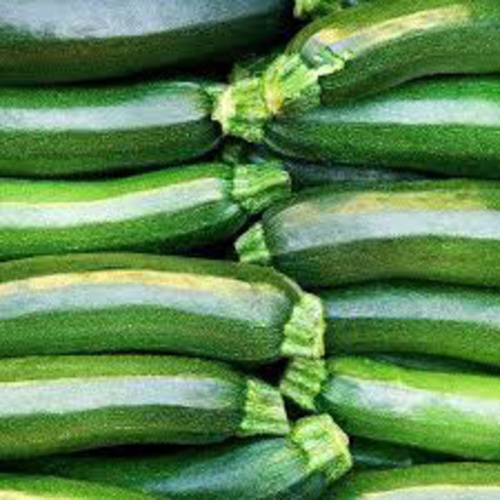 Squash Zuccini Valley Green