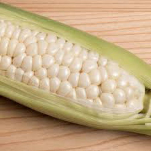 sweet Corn Country Gentelman Valley Green