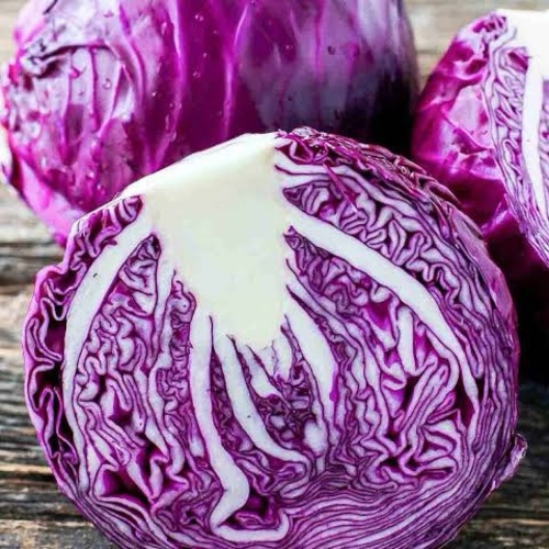 ملفوف بنفسجي ممتاز