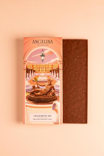 Organic Milk Chocolate with hazelnut 100g - Organic chocolate bar with milk chocolate hazelnut milk soya