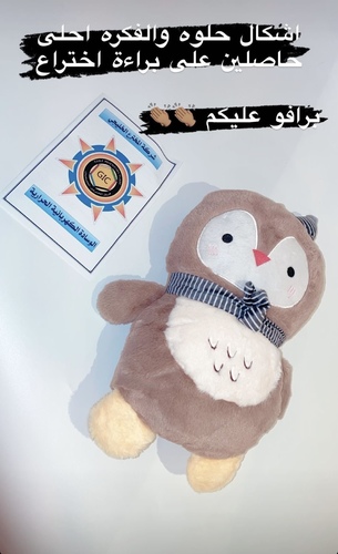 الوسادة الكهربائية الحرارية  + وساده تدفئه القدمين والاسترخاء