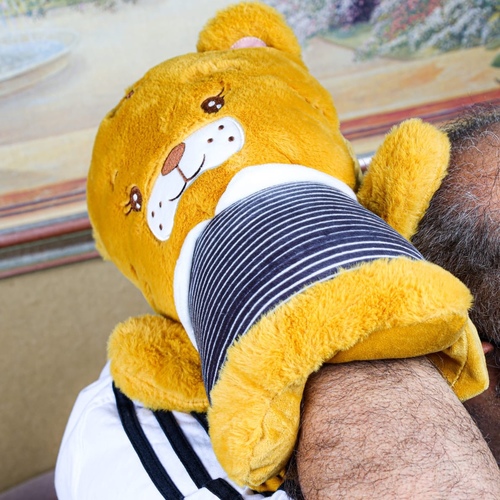 الوسائد الحرارية القط المخطط