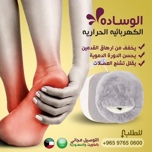 Electric Hot Feet Warmer