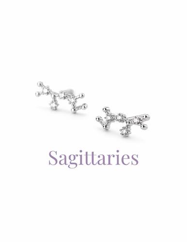 sterling silver astrology earrings