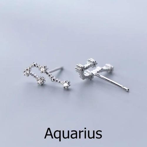 sterling silver astrology earrings