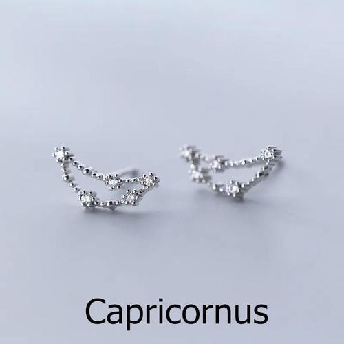 sterling silver astrology earrings