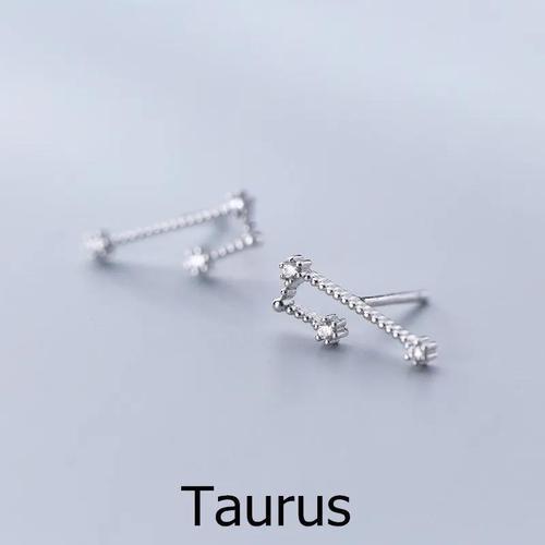 sterling silver astrology earrings