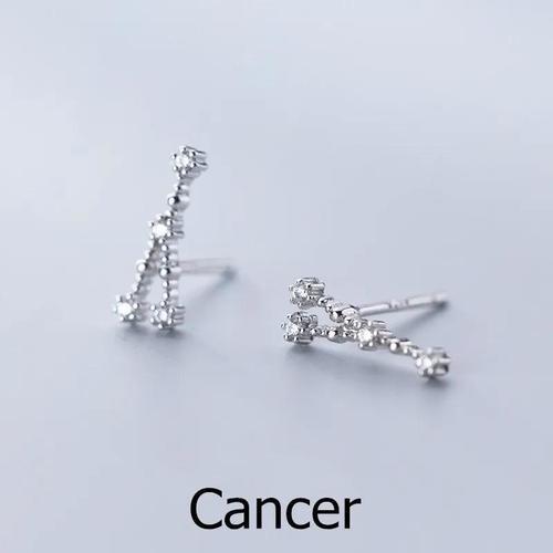 sterling silver astrology earrings