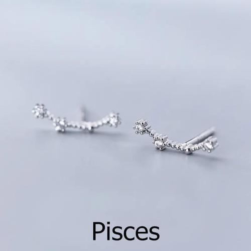 sterling silver astrology earrings
