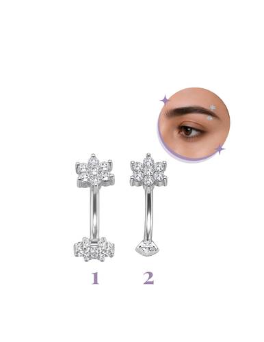rook piercing