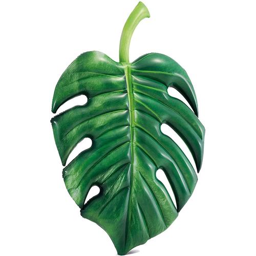 intex palm leaf mat