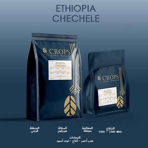 Chechellie - Ethiopia - Filter preparation‎ - Altitude: MASL 1950 - 2300 Variety: Heirloom Region: Guji Processing: Wine 
 Overtones: Red Grape - Apple - Blackberry