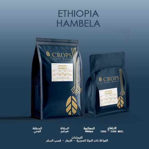 Crops Roastery - Hambela - Ethiopia - Filter preparation - REGION : Guji - Ethiopia  VARIETY : Heirloom  ALTITUDE : 1950 - 2300  MASL PROCESS : Natural  NOTES : Stone Fruit - Floral - Sugar Cane