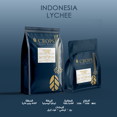 Lychee - Indonesia - Altitude:1300 - 1400 MASL Variety: Typica - Abyssinia Region: Aceh - Bener Meriah Processing: Wet Hulled 
 Overtones: Rose - Lychee - Blueberry