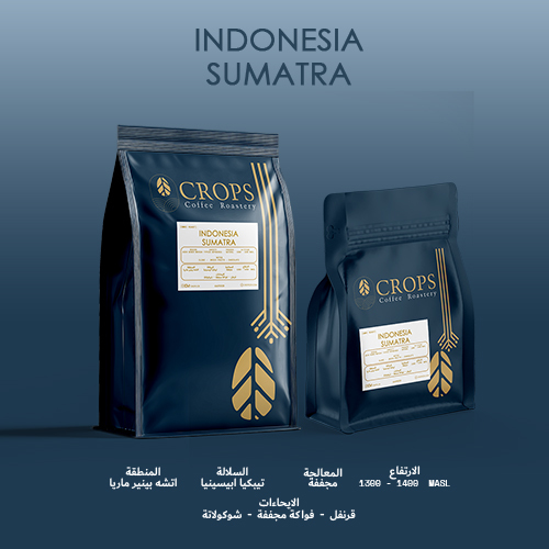 Sumatra - Indonesia - Altitude: MASL 1300 - 1400  Variety: Typica Abyssinia  Region:  Aceh Bener Meriah Processing: Natural Overtones: Clove - Dried Fruit - Chocolate