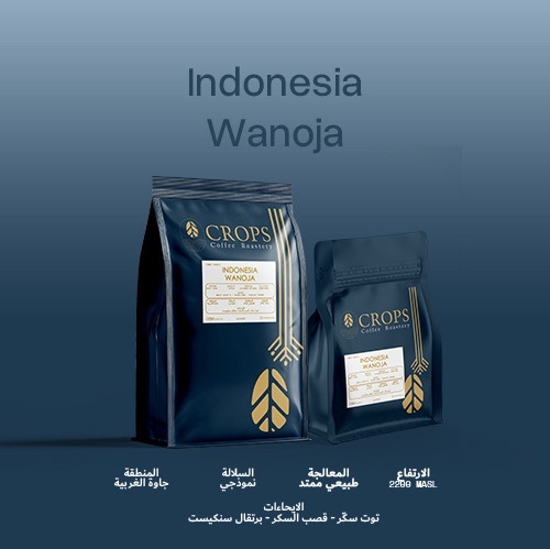 Indonesia Wanoja