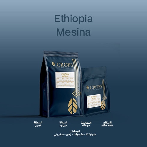 Ethiopia Mesina