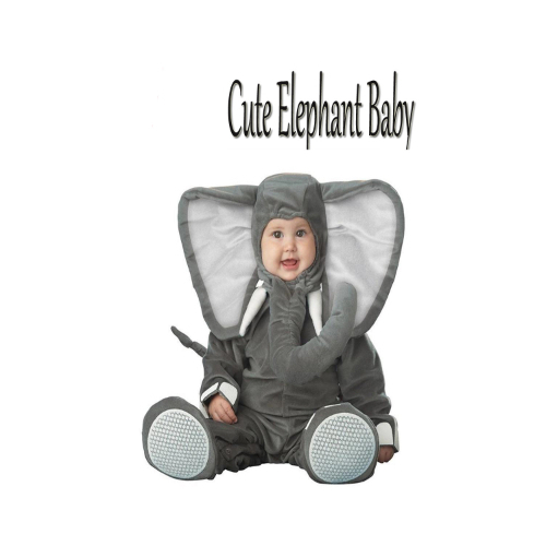 Cute Elephant Baby