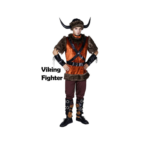 Viking Fighter