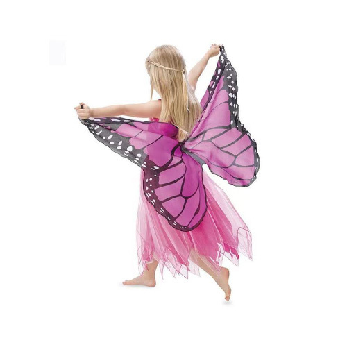 Pink Butter Fly Wing