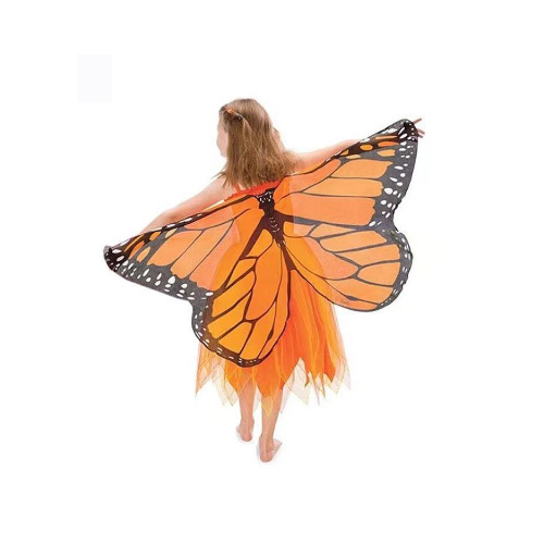 Orange Butter Fly Wing